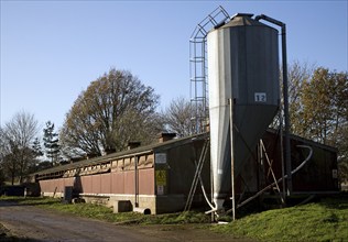 Grain silo for indoor pig production unit, Sutton, Suffolk, England, United Kingdom, Europe