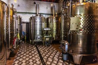 Wine cellar, small, modern family winery Marcovic near Cetinje, Montenegro, Cetinje, Montenegro,