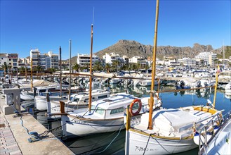 Port de Polença, harbour, in the northwest of, Majorca, Spain, Europe