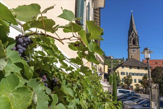 The village of Tramin on the wine route, in South Tyrol, wine-growing region of Gewürztraminer,