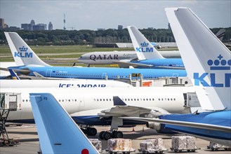 Amsterdam Schiphol Airport, aircraft at terminal, Gates D, check-in, apron, Amsterdam, Netherlands