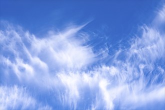 Cirrus clouds, ice clouds at high altitude, also known as feather clouds