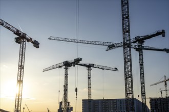 Construction sites in the east of Hafencity Hamburg, office building, new district on the Elbe, on