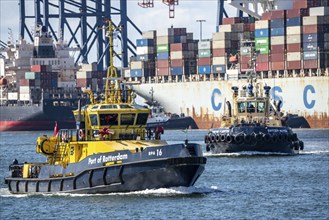 Europoort, Port of Rotterdam, harbour tug, bowser, in front of the Euromax Container Terminal,