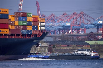 Container-Terminal-Altenwerder, Hapag-Lloyd container ship Frankfurt Express during loading and