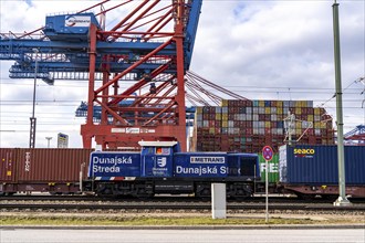 Port of Hamburg, Waltershofer Hafen, container ships, goods train brings and collects freight