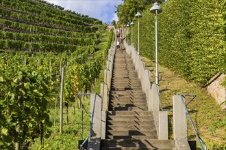 The Spitzhaus staircase is located in the Saxon town of Radebeul. It connects the Hoflößnitz