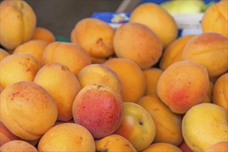 Apricots for sale on a market stall, Brittany, France, Europe