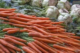 Market sale of kohlrabi (Brassica oleracea var. gongylodes) and carrots, weekly market market,