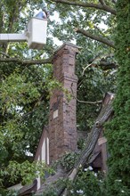 Detroit, Michigan, A storm with 70mph wind gusts blew down a 15-ton, 110-foot cottonwood, damaging