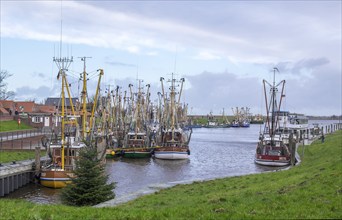 Crab cutter in the harbour of Greetsiel, the largest cutter fleet in East Frisia, Greetsiel, East