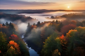 Aerial view of fog covered forest in autumn with mystic golden sunlight, AI generated