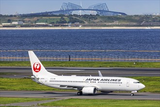 A Boeing 737-800 aircraft of Japan Airlines JAL with the registration JA308J at Tokyo Haneda