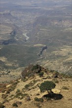 Landscape in the Choke Mountains, view into the valley, Ethiopia, Africa