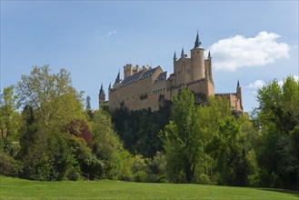 Medieval castle on a hill surrounded by dense green trees and a clear blue sky with white clouds,