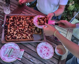 Fresh plum cake on the baking tray. Baden-Württemberg, Germany, Europe