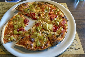 Vegetarian pizza, Bavaria, Germany, Europe