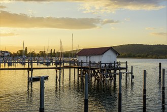 Harbour, sunset, Bodman, Lake Constance, Constance County, Baden-Württemberg, Germany, Europe