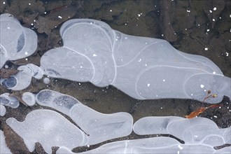 Pattern on frozen water surface, ice crystals, North Rhine-Westphalia, Germany, Europe