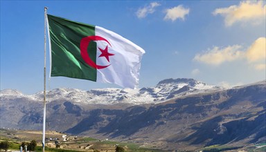 The flag of Algeria flutters in the wind