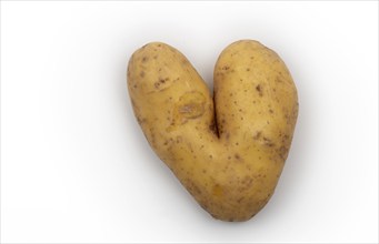 Heart-shaped potato, heart, studio photo, Stuttgart, Baden-Württemberg, Germany, Europe