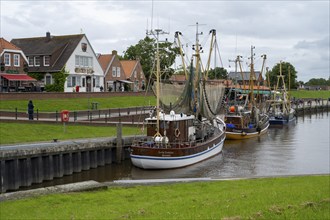 Crab cutter in the harbour, Greetsiel, East Frisia, Lower Saxony, Germany, Europe