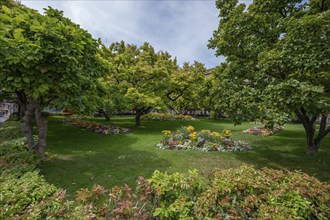 Kaisergärtchen a park with magnolia trees and flower beds in front of the Würzburg railway station