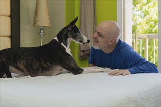 A bald man shares a moment of joy and connection with his pet as they play on the bed