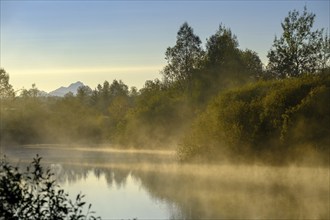 Sunrise with fog, Mühlweiher at Reutberg Monastery, Sachsenkam, Tölzer Land, Alpine foothills,