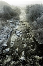 Aubrac plateau. Frozen river Bès. Lozere. Occitanie. France