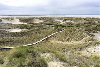 Woman with yellow rain jacket walking along a boardwalk in the dunes, Amrum Island, Wittdün,