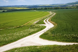 White pathways on chalk downland Allington Down, Wiltshire, England, United Kingdom, Europe