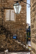 Alstadtgasse with cat, Budva, Montenegro, Budva, Montenegro, Europe