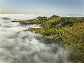 Aerial view of idyllic scenic Fanal Laurisilva forest with centuries-old til trees with road above