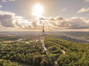 The television tower towers above a large forest with rolling hills and a wide sky in the