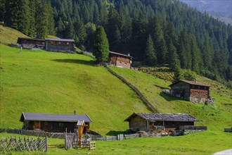 Helgas Alm, Valser Tal, Valser Tal Natura 2000 nature reserve, Wipptal, Tyrol, Austria, Europe