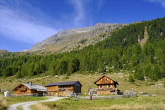 Staller Almen, high valley, Staller Sattel, Defereggen Valley, East Tyrol, Austria, Europe