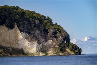 The chalk cliffs of Rügen, cliffs of the Stubbenkammer, Kolliker Ort lighthouse, in the Jasmund