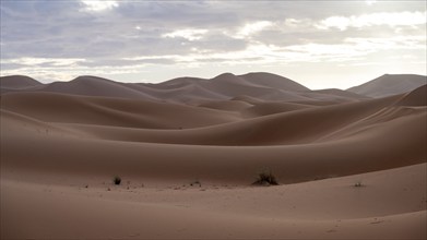 Sunrise in the desert, dunes, Erg Chebbi, Sahara, Merzouga, Morocco, Africa