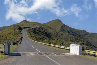 Road on the Paul da Serra plateau, a cattle grid in the foreground, Madeira, Portugal, Europe