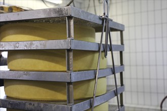 Production of Emmental cheese in the cheese dairy (Allgäu, Bavaria)