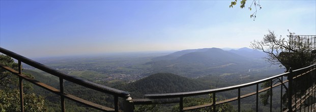 View of the Rhine plain from the summit plateau of the Orensberg (southern Wine Route)