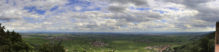 View of the Rhine plain from Rietburg Castle (Rhodt, Rhineland-Palatinate)