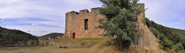 The ruins of Wolfsburg Castle above Neustadt an der Weinstraße