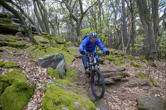 Mountain bikers on a bumpy trail on difficulty scale S 2 in the Palatinate Forest