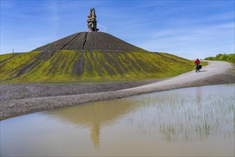 Cyclist on the Rheinelbe spoil tip in Gelsenkirchen, 100 metre high spoil tip, landscape park, with