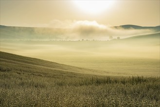 Sunrise in the Crete Senesi, Province of Siena, Tuscany, Italy, Europe