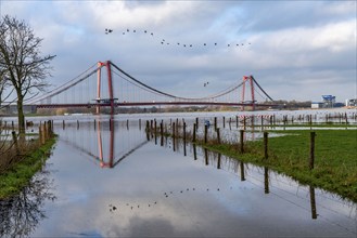 Flood on the Rhine, flooded Rhine meadows, fields, Rhine bridge Emmerich, road bridge of the B220,