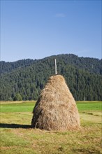 Traditional haystack Triste in the Rothenthurm high moor, Canton Schwyz, Switzerland, Europe