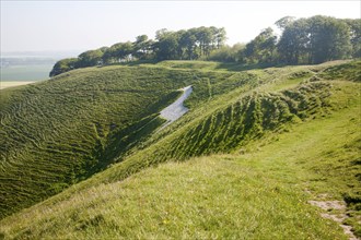 White horse in chalk scarp slope Cherhill, Wiltshire, England, UK dating form 1780